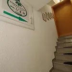Green Stay *