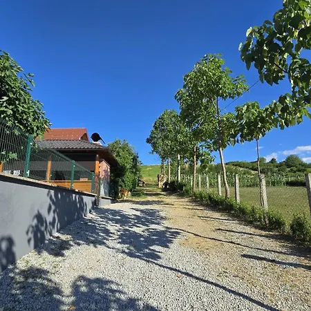 Green Stay Homestay szállás *