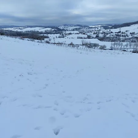 Homestay szállás Green Stay