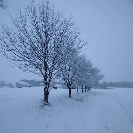 Δωμάτια σε οικογενειακή κατοικία Green Stay *