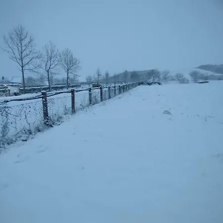 Green Stay Velika Kladusa