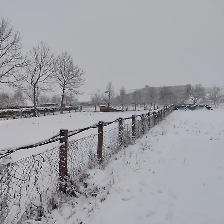 Green Stay Δωμάτια σε οικογενειακή κατοικία