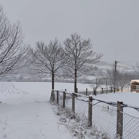 Δωμάτια σε οικογενειακή κατοικία Green Stay Velika Kladusa